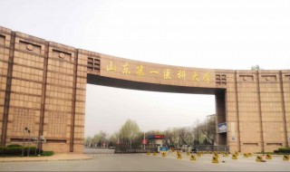 山东第一医科大学是几本（山东第一医科大学是985还是211）