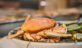 面包蟹保存方法 面包蟹怎么储藏