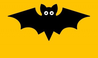 蝙蝠会咬人吗 蝙蝠飞过的房间有毒吗?