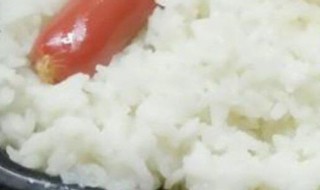 自热米饭的米是什么米（自热米饭的米是什么米有害吗）