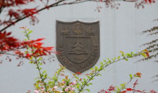 南京大学校徽寓意（南京大学校徽寓意是什么）