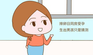 女性排卵期介绍 女性排卵期介绍ppt