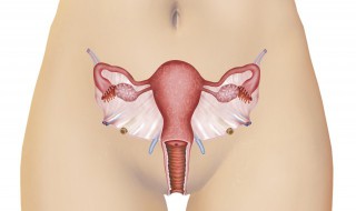 多囊卵巢注意什么饮食禁忌 多囊卵巢注意什么饮食禁忌女性
