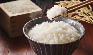 米饭预处理保鲜存放技巧（米饭预处理保鲜存放技巧视频）