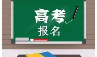 高考报名指南（高考报考指南电子版2023）