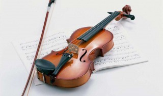 大提琴与小提琴的区别是什么（大提琴与小提琴的区别是什么意思）