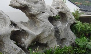 太湖石的特点是什么（太湖石的特点是什么?主要分布在哪里?）