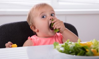 让宝宝学会正确吃饭的方法 让宝宝学会正确吃饭的方法视频