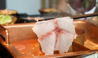 鱼肉的热量 100克鱼肉的热量