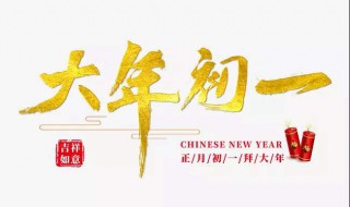 大年初一作文 大年初一作文500字