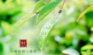 一场秋雨一场凉什么意思（一场秋雨一场凉什么意思?）