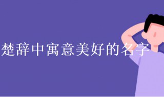 诗经楚辞中寓意美好的名字（从诗经里摘取的笔名）