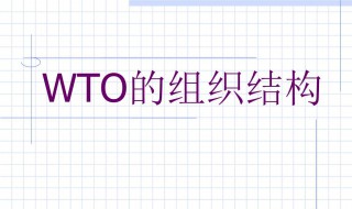 wto是哪个组织的称呼 wto什么组织