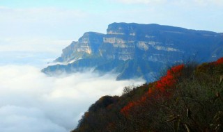 光雾山旅游攻略 光雾山旅游攻略,光雾山攻略