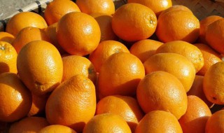 橙子送人买几个寓意好 送人橙子好吗
