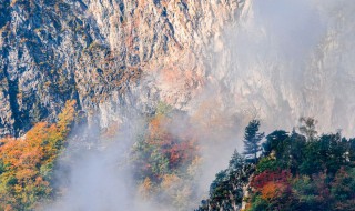 明月出天山（明月出天山,苍茫云海间.长风几万里,吹度玉门关）