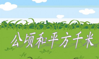 1平方千米等于多少公顷 1平方千米等于多少公顷?进率是多少?