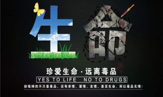 禁毒名句 禁毒名句摘抄大全