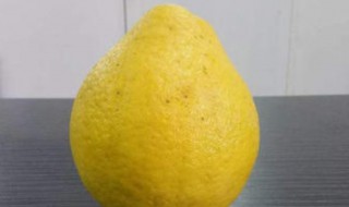 柚子皮能去甲醛吗 除甲醛最快的4种方法