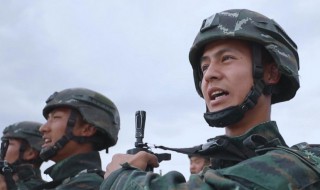 八百标兵中的标兵指什么兵 八百标兵中的标兵指什么兵种