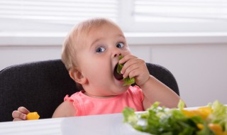 宝宝初期喂养注意事项（婴儿早期需要的三种食物段是什么）
