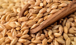 小麦怎么储存 小麦怎么储存能放30年