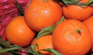 柑橘类水果功能与禁忌（柑橘类水果的功效与作用）