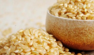 糙米饭的功效与禁忌 糙米饭的功效与禁忌是什么