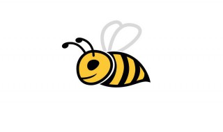 蜜蜂生活方式与特点（蜜蜂生活方式与特点是什么）