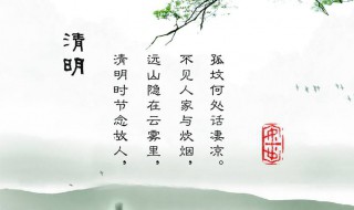 关于清明节的资料（关于清明节的资料20字左右）