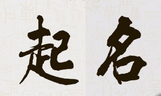 文艺的男生名字（清冷儒雅的男生名字）