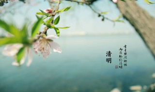 清明节是几月几日农历（清明节是几月几日农历的）