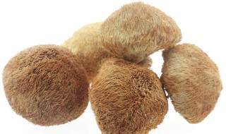 干猴头菇的食用方法 干猴头菇的食用方法和禁忌