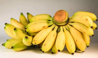 小米蕉和香蕉的区别 香蕉和芭蕉的区别图片
