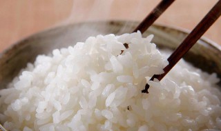 过期大米可以吃吗（过期大米可以吃吗没有虫子）