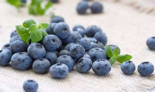 蓝莓可以不洗直接吃吗（蓝莓一次吃125g会死吗）