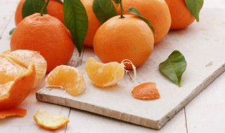 自制柑橘气泡水的做法（橘子气泡水怎么做）