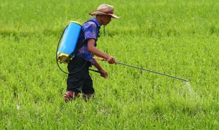 除草剂种类 除草剂种类及使用方法