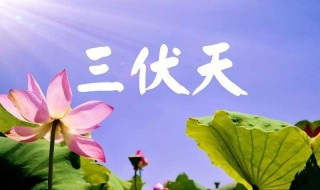 三伏天是几月份（三伏天是几月份到几月份结束）