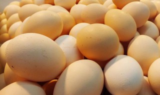 鸡蛋一次吃两个多吗 鸡蛋一次吃两个多吗会胖吗