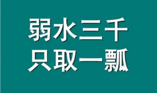 弱水三千只取一瓢是什么意思 弱水三千只取一瓢饮, 繁华三千,只为一人饮尽悲欢