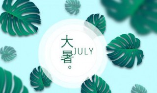 大暑节气（大暑节气简介）