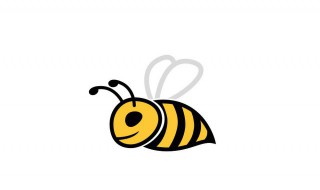 诱蜂水的制作方法 诱蜂水的制作方法金环胡蜂