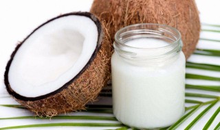 椰子油减肥食用方法 椰子油减肥的服用方法