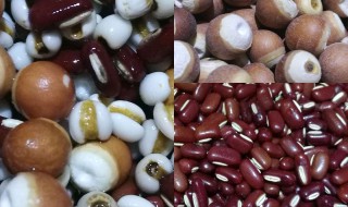 意米和赤小豆的功效与作用及食用方法 赤小豆和意米的功效与作用及食用方法