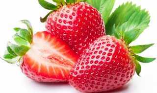种植草莓的技术和日常管理方法（种植草莓技术及日常管理）