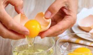 日本无菌鸡蛋怎么生产 日本的无菌鸡蛋真的无菌吗
