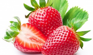 草莓树怎么养如何种植 树莓的种植方法和技术