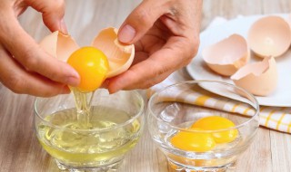 鸡蛋壳养花的正确使用方法 鸡蛋壳养花的功效与作用
