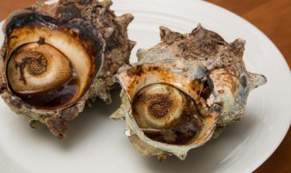 大海螺的做法 大海螺的做法煮多长时间